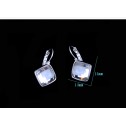 earrings lucy crystal silver